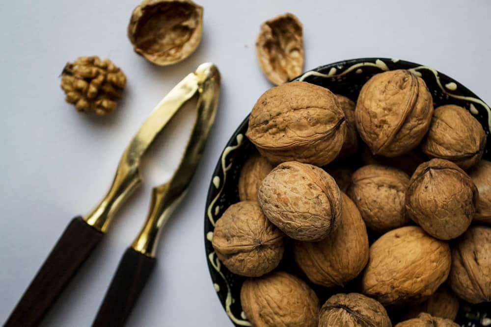Best Nut Crackers Feature Image