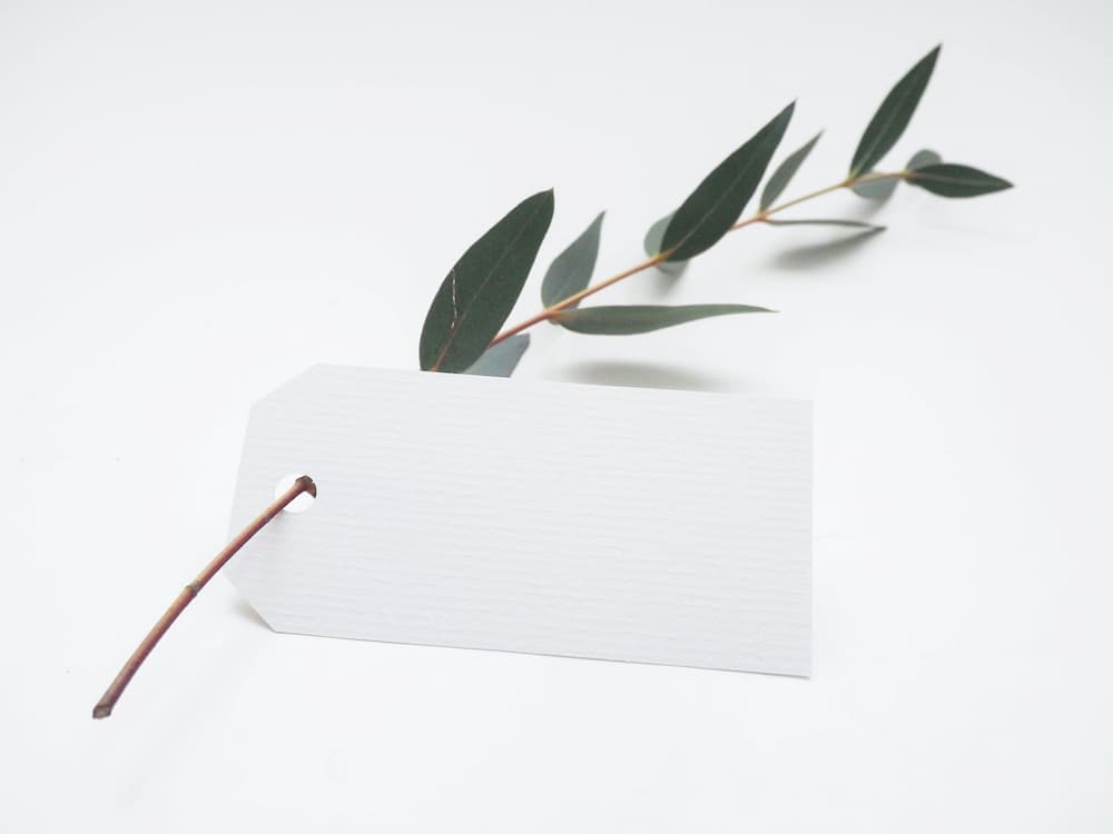 Best Plant Labels Feature Image