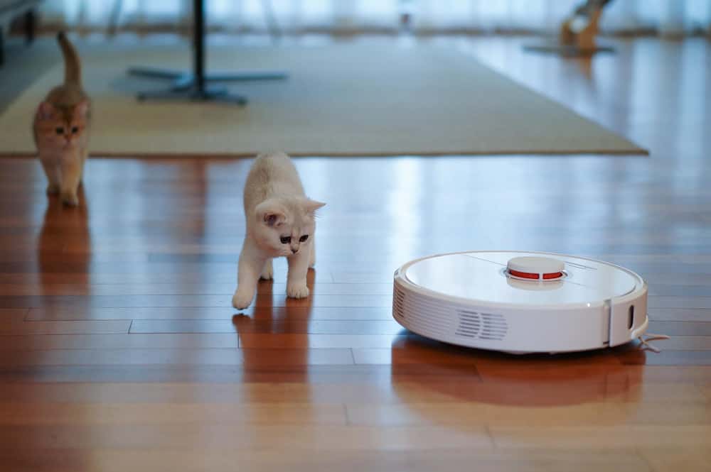 Robots aspirateurs Vignette