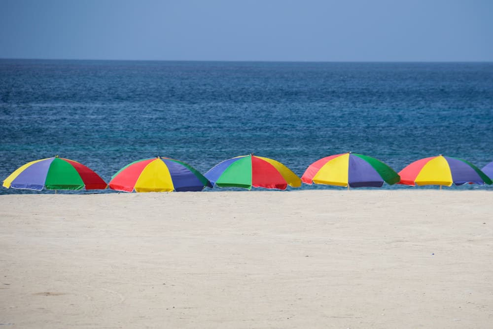 Folding Umbrellas Thumbnail
