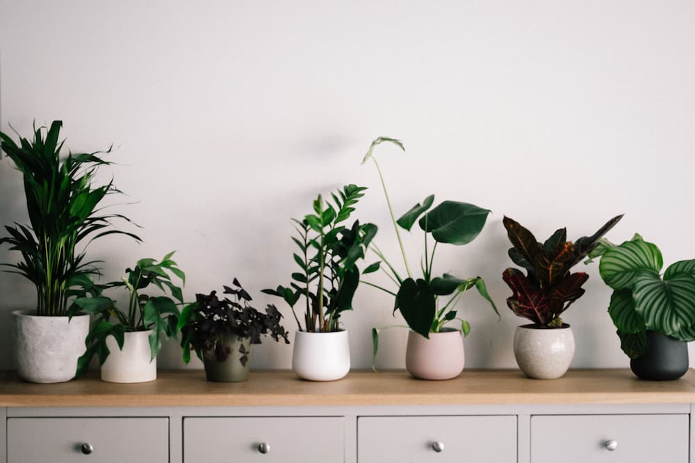 Flower Pots Thumbnail