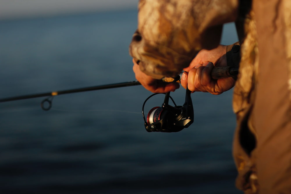 The 10 Best Abu Garcia Fishing Reels of 2024 - FindThisBest