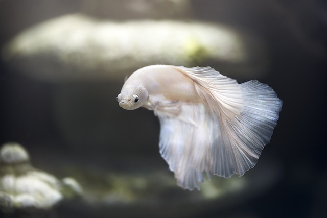 Aquaristikbedarf Feature Image