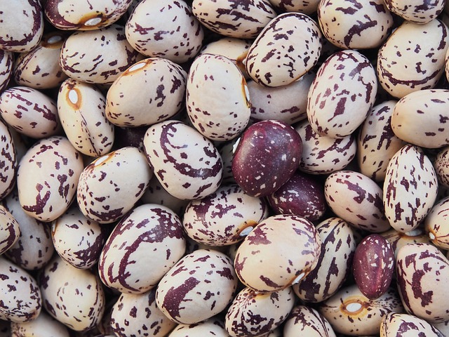 Dried Beans, Lentils & Peas Feature Image