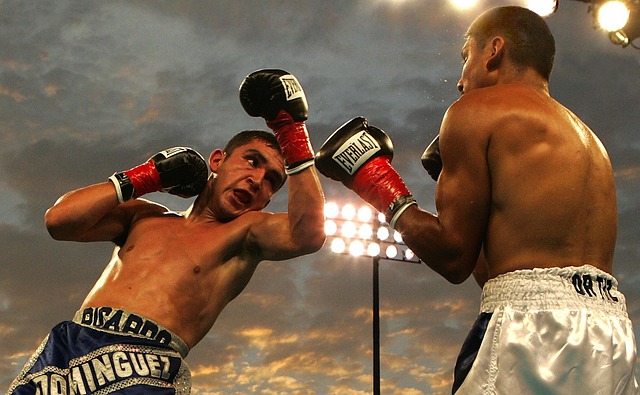 Boxing Equipment Feature Image