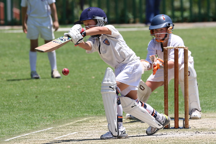 Cricket Feature Image