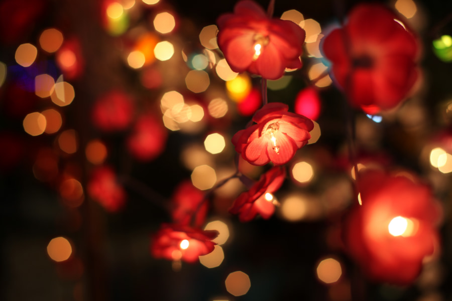 Guirlandes lumineuses Feature Image