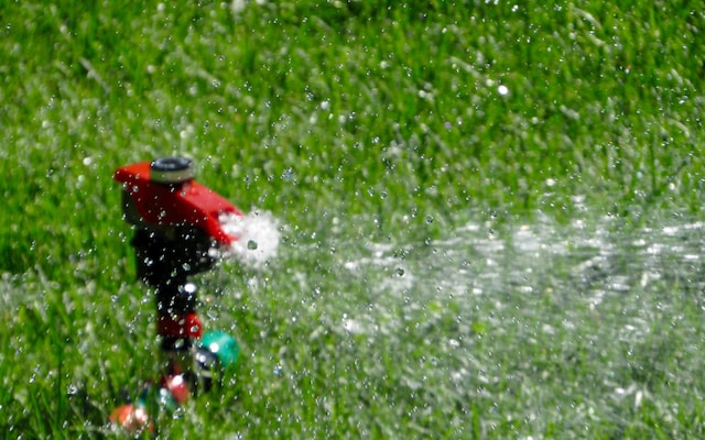 Garden Tools & Watering Equipment Feature Image