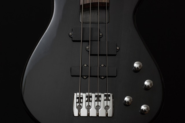 Bass Guitars Cover