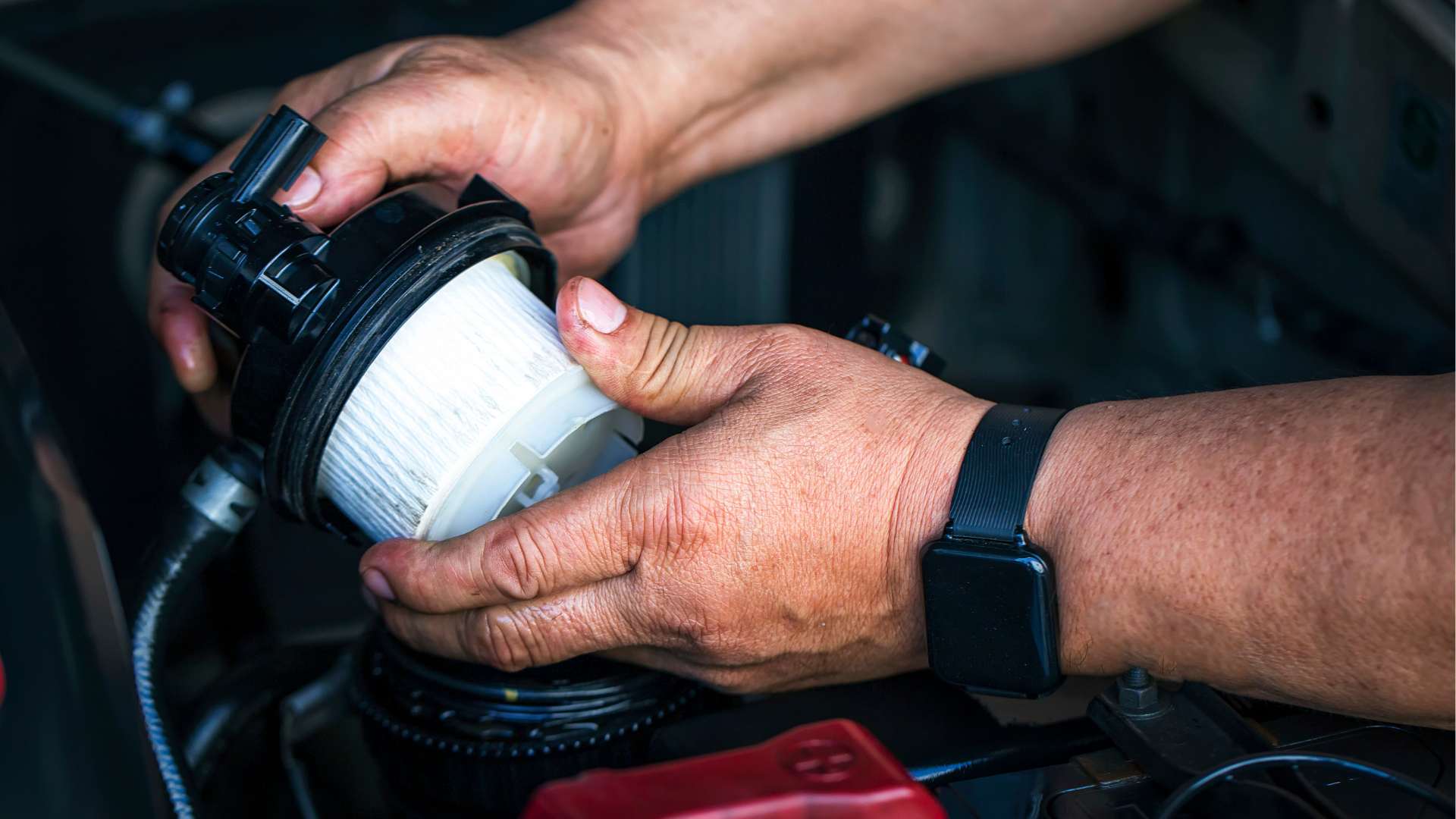 Filtration Cover