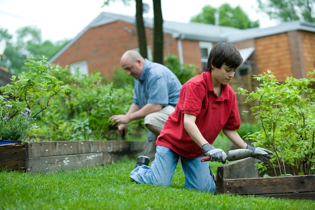 Jardinage Feature Image