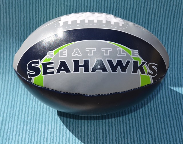 Toy Sports Products Feature Image
