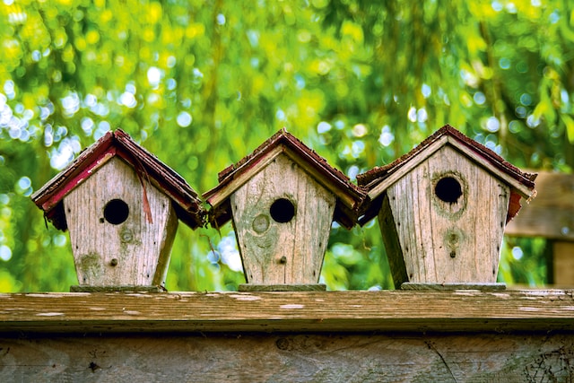 Garden Décor Feature Image