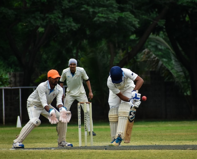 Cricket Feature Image
