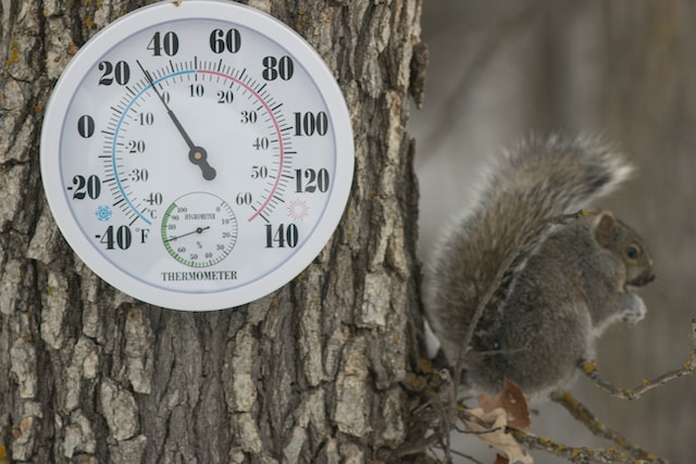 Thermometers & Meteorological Instruments Feature Image