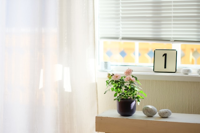 Home Accessories Feature Image