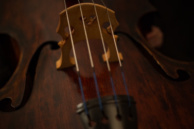 Instrumentos de cuerda Feature Image