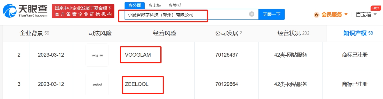 Chinese platform to check company information